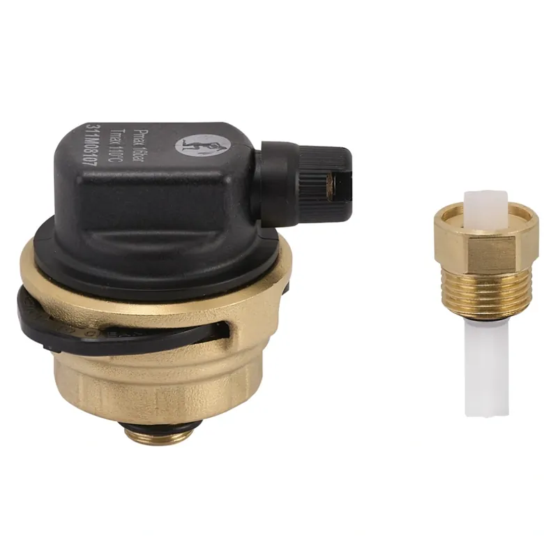 Cena specjalna - Automatyczny odpowietrznik 1/2″ ze zintegrowanym filtrem Giacomini R88EI R88EIY003