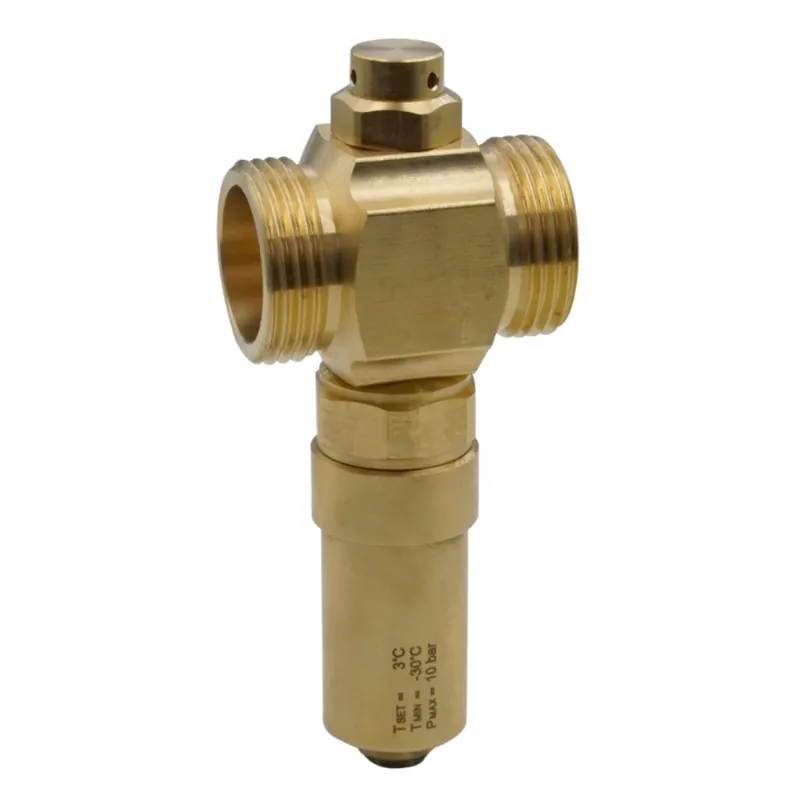 Bestseller - Zawór antyzamrożeniowy 5/4" do pomp typu monoblok Prov Invena ZZ-30-032-Z