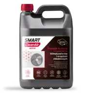 Płyn do czyszczenia Smart CleanAir Active 5l - Ekspresowa wysyłka